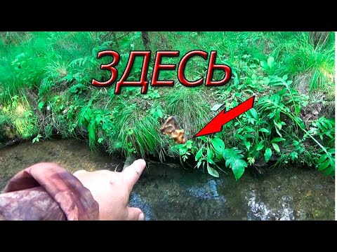 Видео: НАШЁЛ ОТКУДА САМОРОДКИ ПОПАДАЮТ В ЯМУ НА РТУТНОМ РУЧЬЕ !!!
