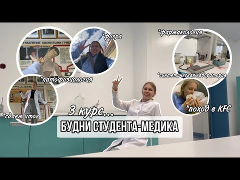 Видео: Влог: будни студента-медика // цикл патофизиологии и фармакологии // моя учеба на 3 курсе меда...