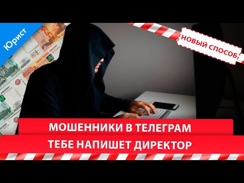 Видео: МОШЕННИКИ в Телеграм. Новый способ -тебе напишет директор