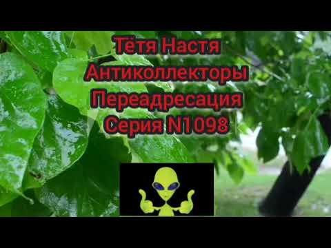 Видео: Тётя Настя. Серия N 1098. Антиколлекторы. Диалоги с коллекторами. Банками. МФО