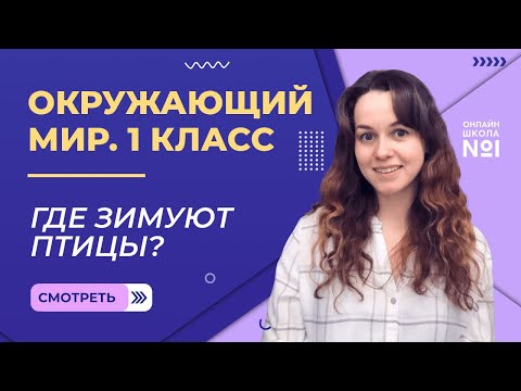 Видео: Видеоурок 14. Где зимуют птицы? Окружающий мир 1 класс