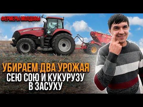 Видео: Кукуруза и соя в засушливой зоне. Фермер Молдовы Dan Tabacaru. Сельское хозяйство Молдовы