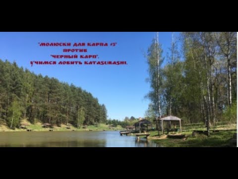 Видео: "Молюски для карпа #3" против "Черный карп". Учимся ловить Katasurashi.