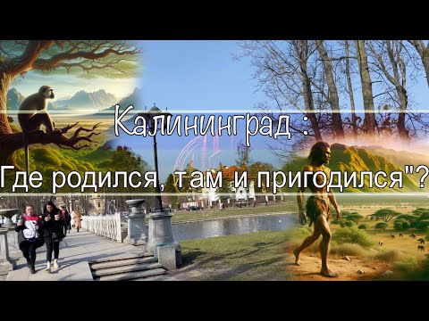Видео: Калининград : Где родился, там и пригодился"?