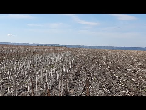 Видео: ПОСIВ ОЗИМОi ПШЕНИЦi ПО НОУ-ТIЛЛ СiВАЛКОЮ СЗ-3.6