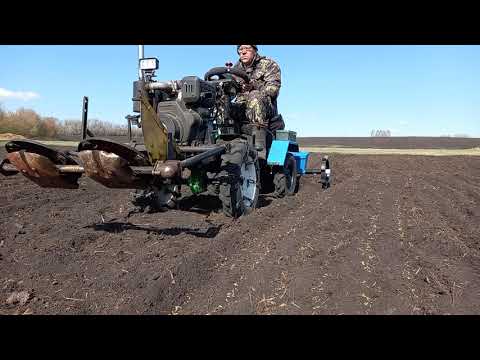 Видео: Посевная 2021. Посев вико-овсяной смеси мотоблочной сеялкой СМ-6.