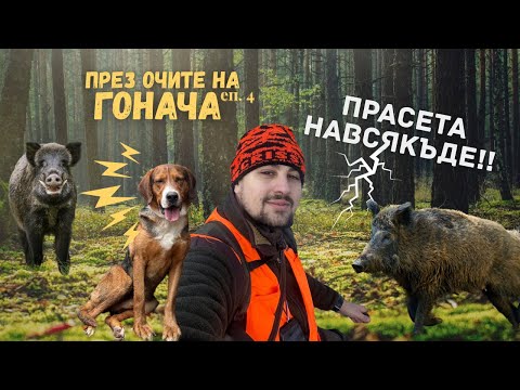 Видео: Лов на диви прасета! През очите на гонача ЕП.4