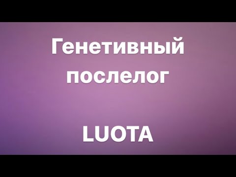 Видео: ПОСЛЕЛОГ LUOTA