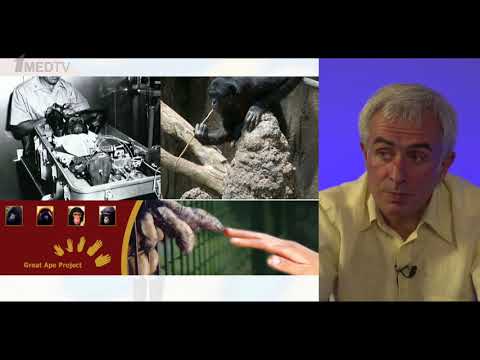 Видео: Беседы о клинической фармакологии. Часть 2