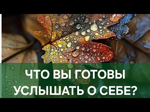 Видео: ЧТО ВЫ ГОТОВЫ УСЛЫШАТЬ О СЕБЕ?