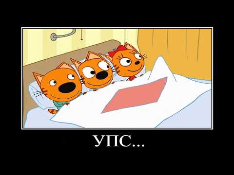 Видео: 16 МИНУТ РЖАКИ ТРИ КОТА 😂 ПОПРОБУЙ НЕ ЗАСМЕЯТЬСЯ