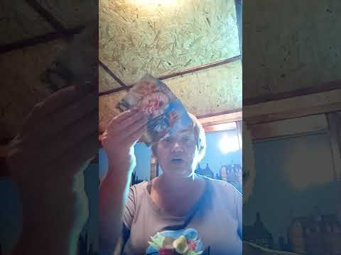 Видео: Для🤴 Ваше будущее и её будущее 🤫🤔👍т. +79084810007 WhatsApp