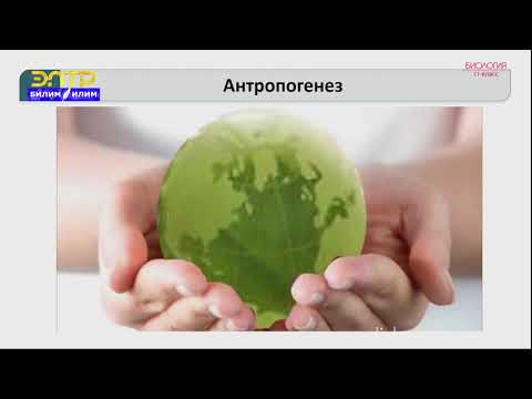 Видео: 11-класс | Биология  | Антропогендик шарттар