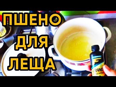Видео: Вкусное ПШЕНО для ЛЕЩА!  Лучшая добавка в прикормку для леща