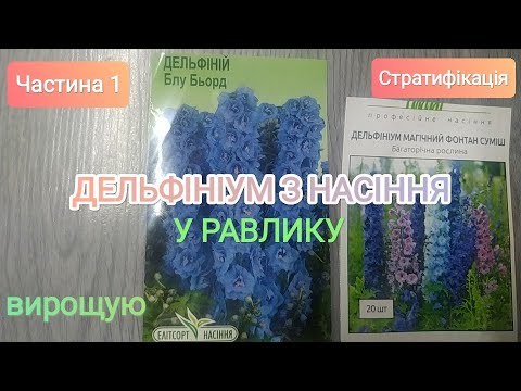 Видео: Дельфініум з насіння||Стратифікація