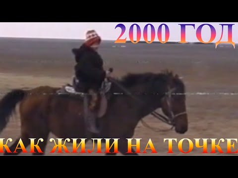 Видео: Как все начиналось.История Верблюжьего острова 2000 г Фильм 1