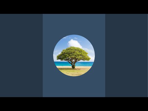 Видео: Тора и Знание в прямом эфире!