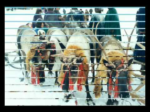 Видео: Всё про Надым 3