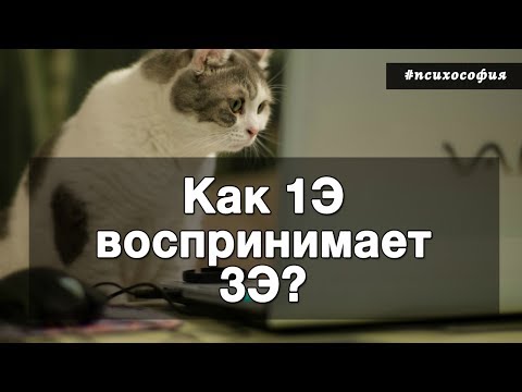 Видео: Что думает 1Э про 3Э. Архетип