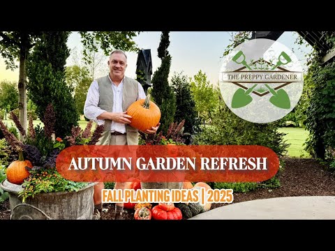 Видео: Осеннее обновление сада | Тыквы, цветы и идеи для осенних посадок (2025)