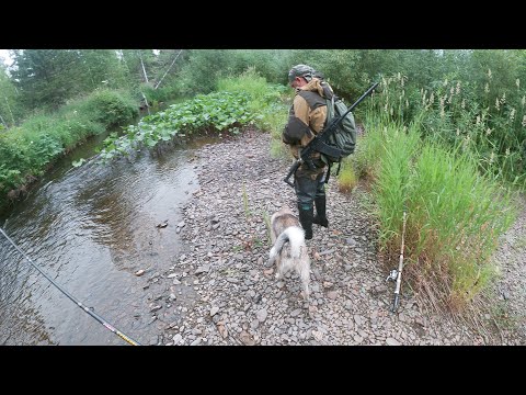 Видео: Рыбалка на Хариуса. Таежная река. Отлично половили.