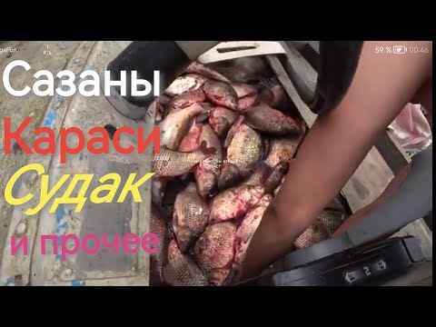 Видео: Жизнь в глубинке. Влог: Привезли рыбу. Сына приехал с рыбалки.  Все довольны. Прокатили с ветерком.