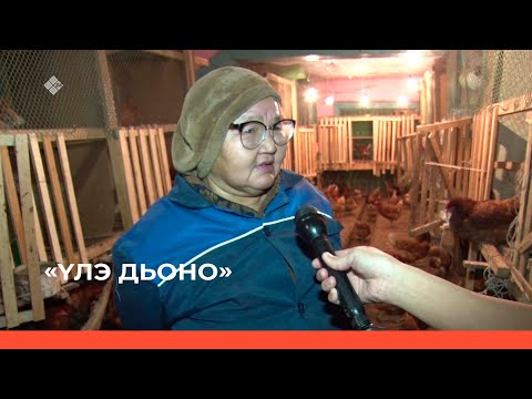 Видео: «Үлэ дьоно»  (24.12.22)