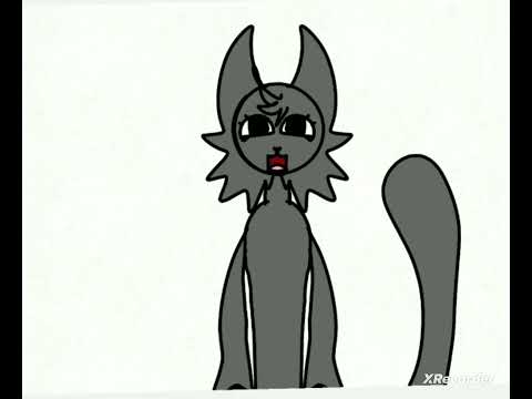 Видео: Розаблочение на котёнка пилгора