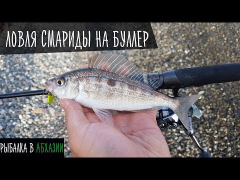 Видео: Рыбалка на черном море. Ловля смариды на буллер: Рыболовный дневник