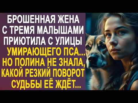 Видео: Брошенная жена приютила уличного пса. Но Полина не знала, какой поворот судьбы её вскоре ждёт...