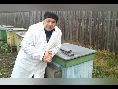 Видео: Защита от синичек.