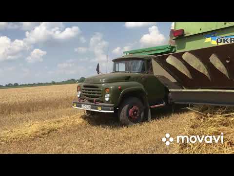 Видео: E-517 в роботі, жнива 2021