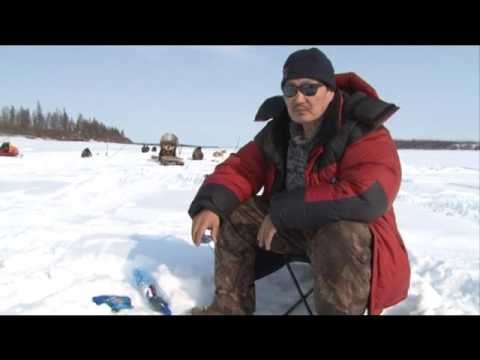 Видео: Чебак. Выпуск 106. Эфир от 08.05.12.