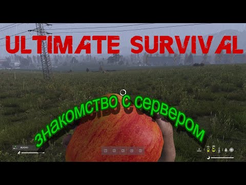 Видео: DayZ | UltimateSurvival | ИСТОРИИ СМЕРТИ | ЗНАКОМСТВО