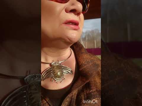 Видео: Ещё один погожий день осени! ☀️🍂🧡