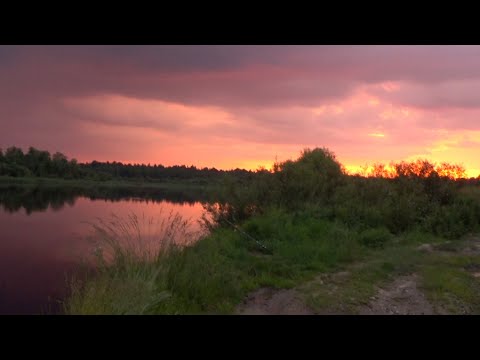Видео: Рыбалка в День Рыбака. Два выезда.