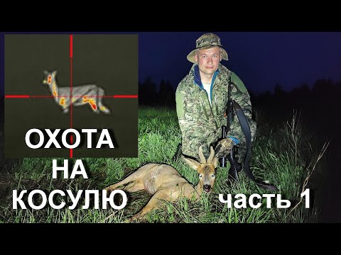 Видео: Охота на косулю с подхода. Тепловизор iRay saim SCT 35 и rico RL 42 .