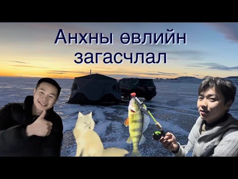 Видео: Өгий нуур өвлийн загасчлал | Ugii lake Ice Camping/Fishing