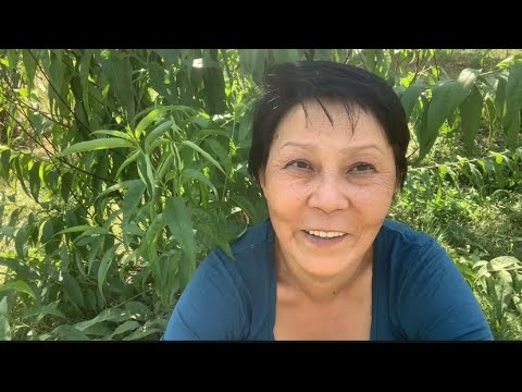 Видео: 📌393. Стоит ли, продлевать молодость?🤔