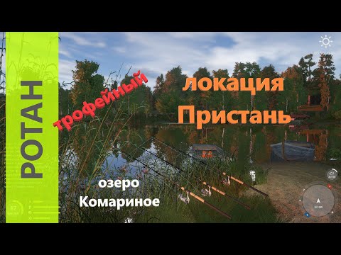 Видео: Русская рыбалка 4 - озеро Комариное - Ротан трофейный и ершики у лодок