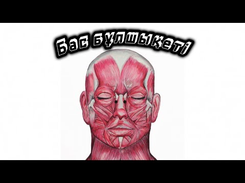 Видео: Бас бұлшықеті ( m. Capitis ). Бас сүйек күмбезінің бұлшықеттері. Шайнау бұлшықеттері