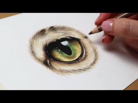 Видео: Как нарисовать реалистичный кошачий глаз цветными карандашами | Пошаговое руководство