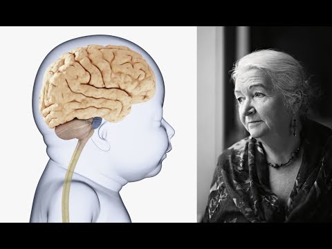 Видео: Черниговская Т.В. - Мозг ребенка и чтение. Психические расстройства человека
