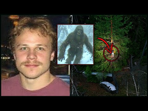 Видео: ТУРИСТ ИСЧЕЗ В ЗАСНЕЖЕННЫХ АППАЛАЧАХ — Его ВЕЩИ НАШЛИ Высокого на ДЕРЕВЕ, а рядом ОГРОМНЫЕ следы...