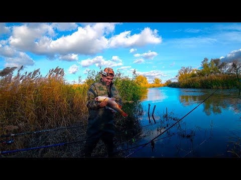 Видео: С ЖЕНОЙ  НА РЫБАЛКЕ !!!!