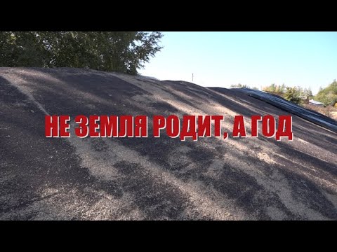 Видео: Специальный репортаж «Не земля родит, а год»