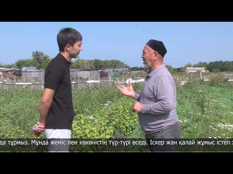Видео: Бақша бабын білетін бағбан
