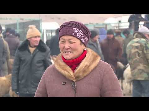 Видео: #Куйручук айылы #базар күнү