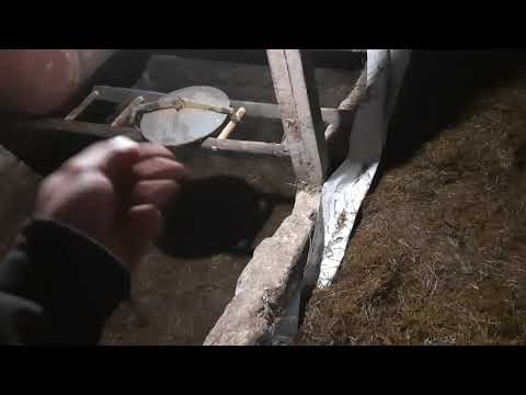 Видео: Корм для корів (економний та корисний)