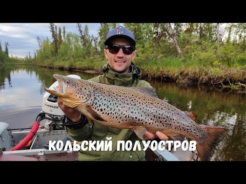 Видео: Кольский! Трофейная кумжа! Много хариуса! Отправляемся на море!